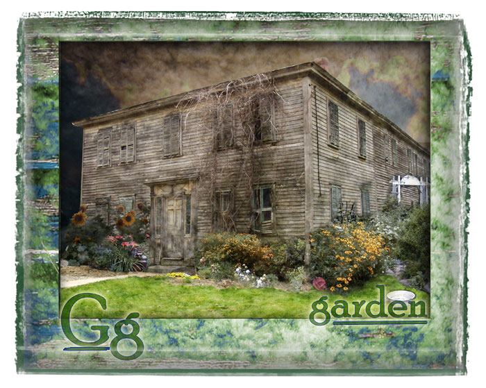 G:Garden of the house